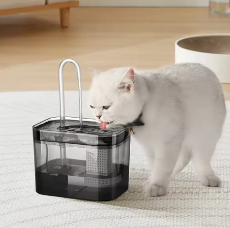 Fontaine d’Eau pour Chat – Distributeur Silencieux à Eau Filtrée