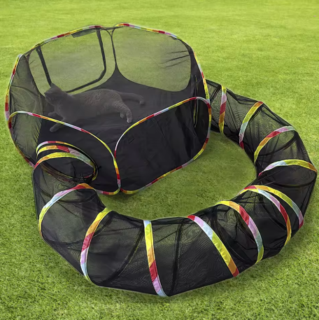 Aire de Jeux d’Intérieur pour Chats – Tunnel & Espace de Jeu Pliable